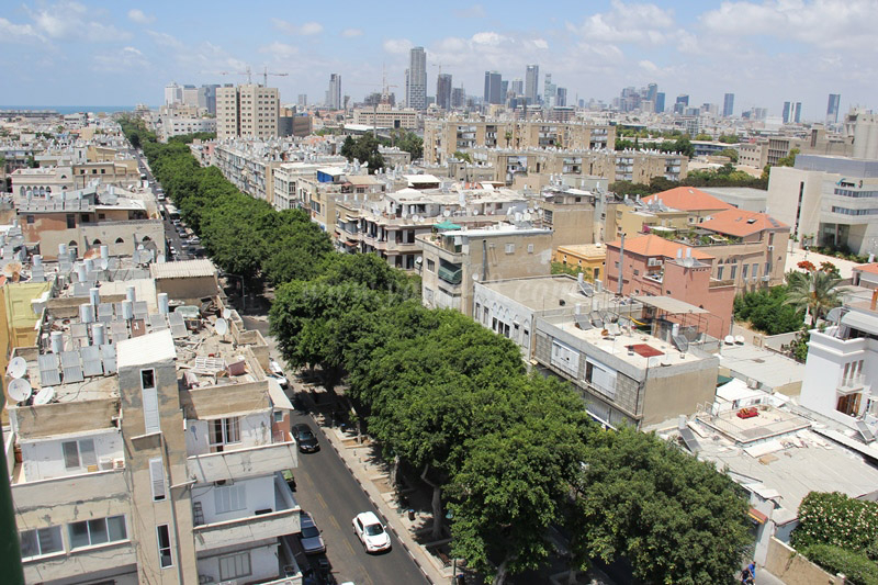  صور: إطلالة مميزة على مدينة يافا من أعلى نقطة في حي النزهة